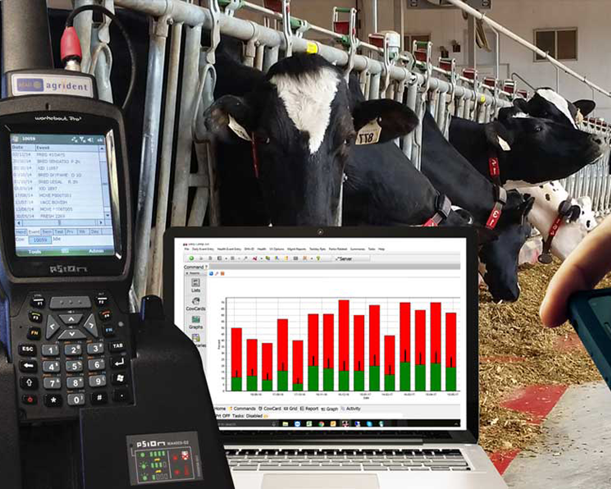 DairyCOMP 305 